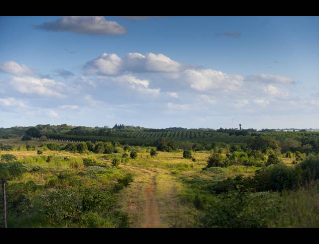 468M² VACANT LAND FOR SALE IN SHEFFIELD MANOR